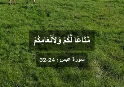 نعم-الله-من-سورة-عبس-(24-32)-تلاوة-خاشعة-للشيخ-ياسر-سلامة